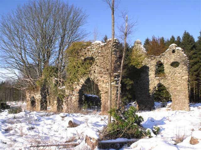 Ruin (or folly?) at Panmure Estate, Monikie, Scotland